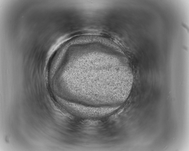 X0000098160343200805081108