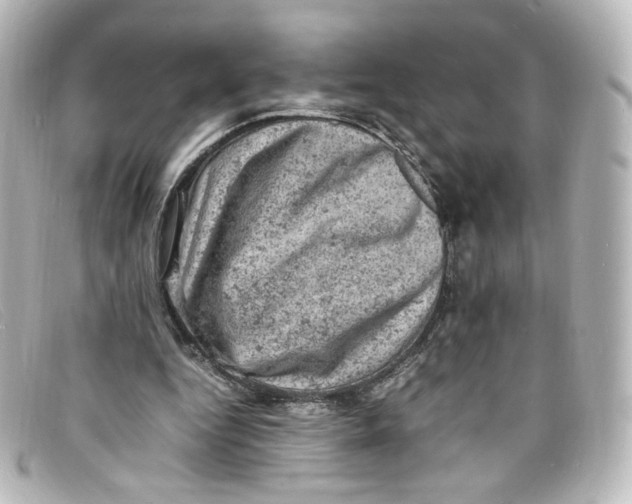 X0000098160344200805081108