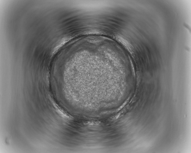 X0000098160345200805081108