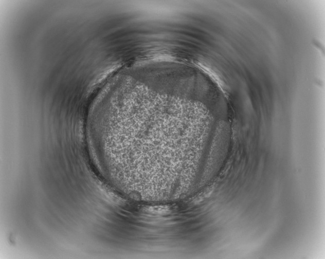 X0000098160353200805081108