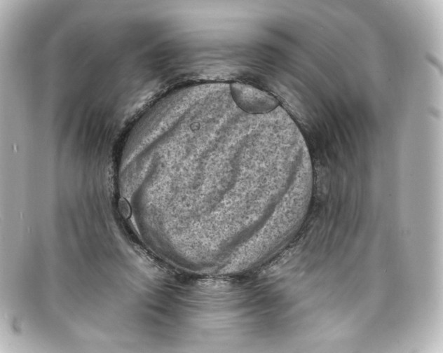 X0000098160354200805081108