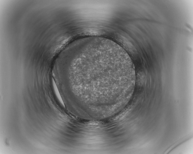 X0000098160358200805081109