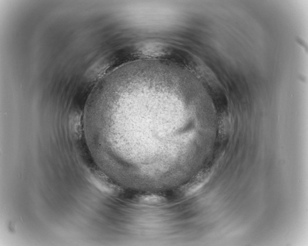 X0000098160360200805081109