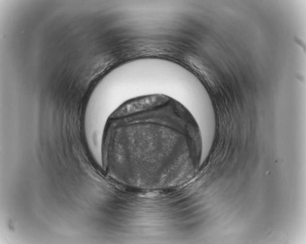 X0000098160362200805081109