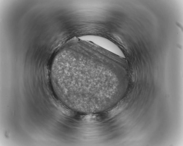 X0000098160366200805081109