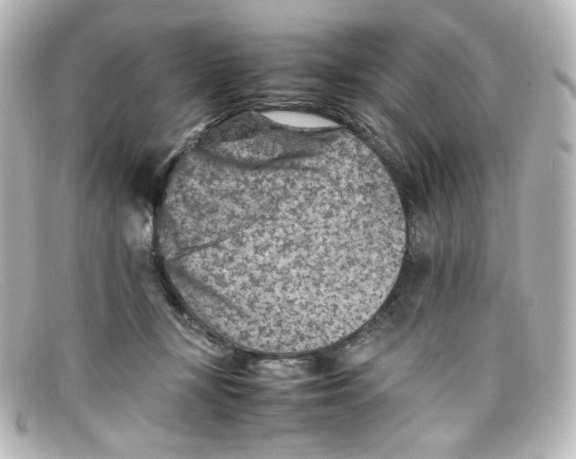 X0000098160367200805081109