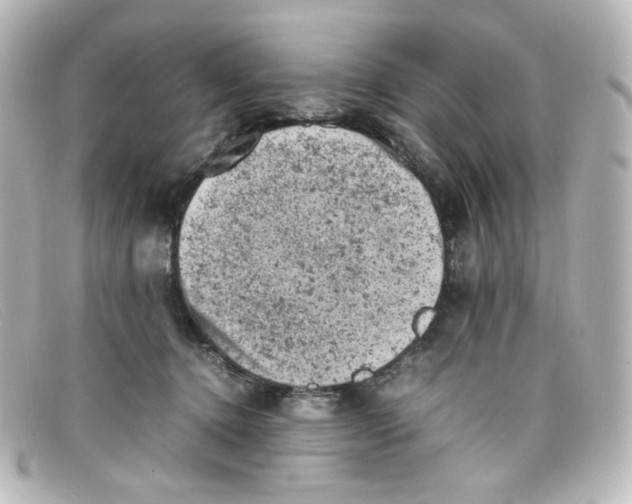 X0000098160368200805081109