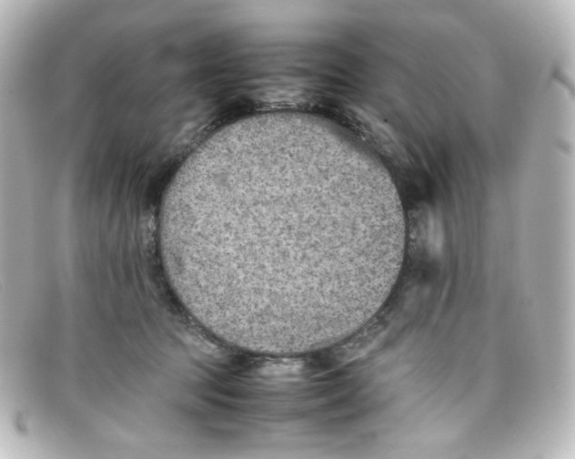 X0000098160369200805081109
