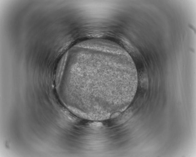 X0000098160374200805081109
