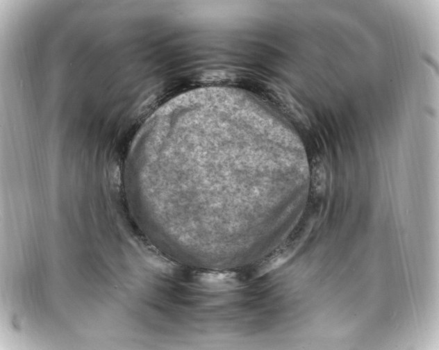 X0000098160375200805081109