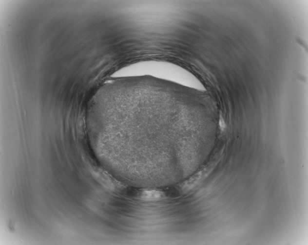 X0000098160376200805081109