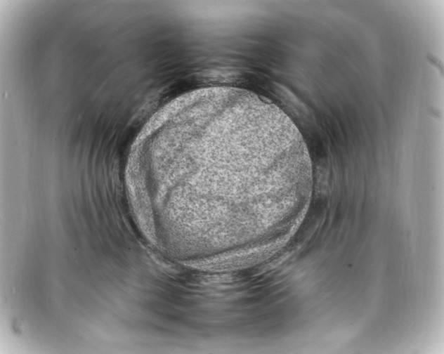 X0000098160377200805081109