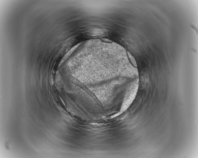 X0000098160379200805081109