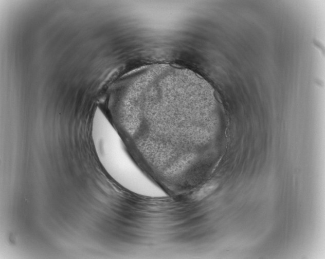 X0000098160384200805081109