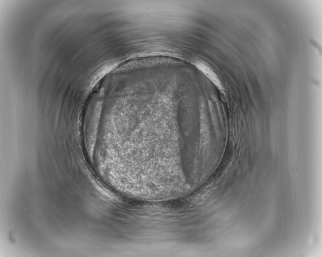 X0000098160389200805081108
