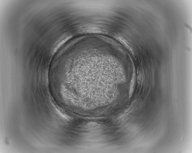 X0000098160390200805081108