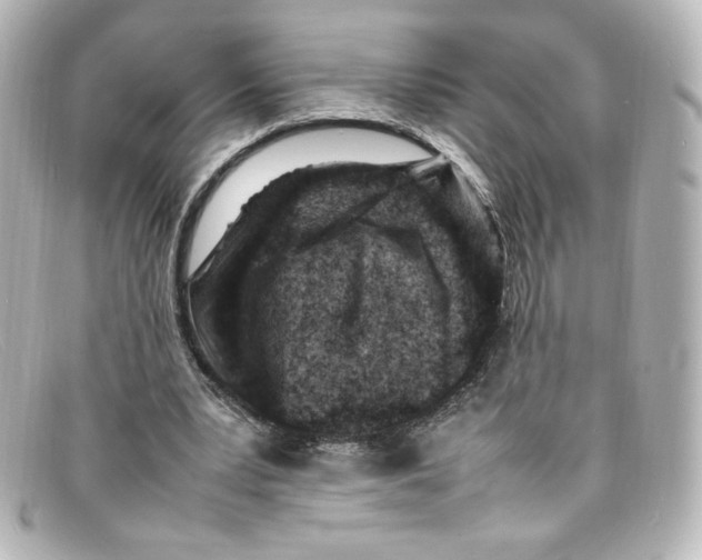 X0000098160391200805081108