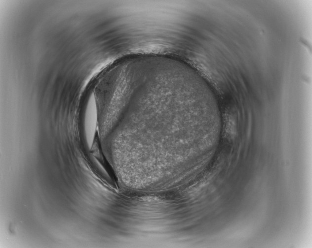 X0000098160392200805081108