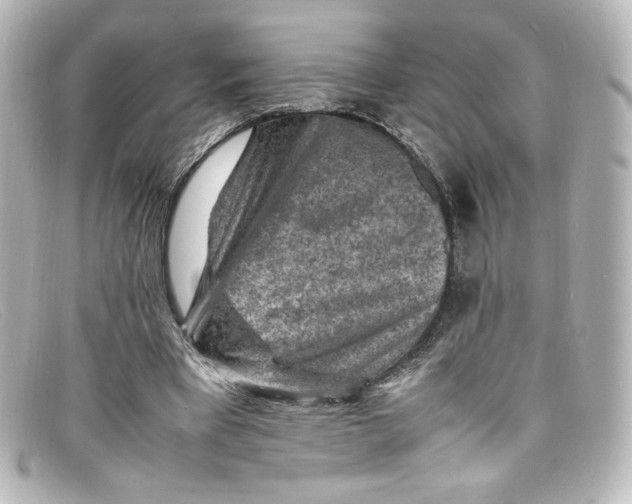 X0000098160393200805081108