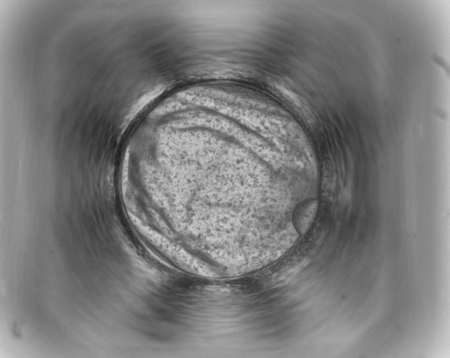 X0000098160394200805081108