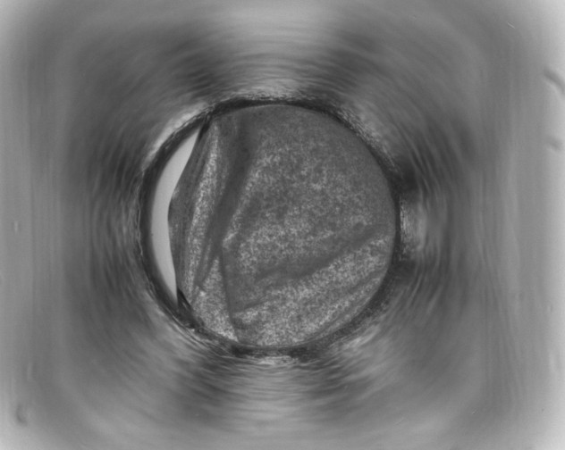 X0000098160396200805081108