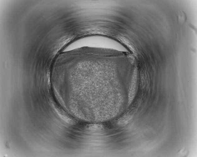 X0000098160398200805081108