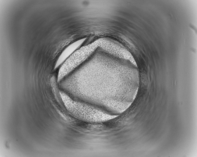 X0000098160401200805081108