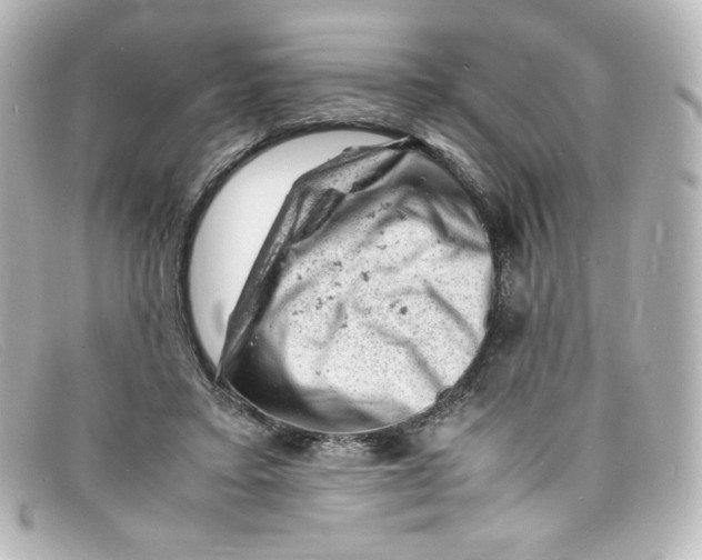 X0000098160403200805081108
