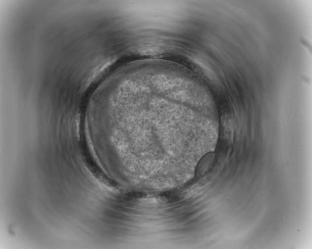 X0000098160404200805081108