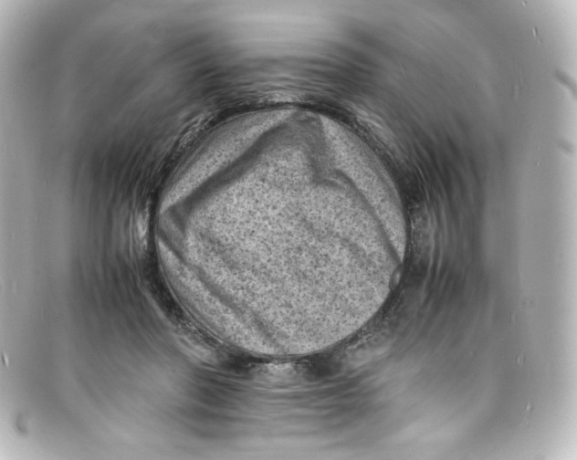 X0000098160406200805081108