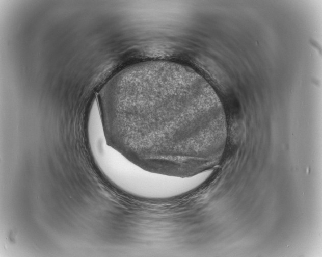 X0000098160407200805081108