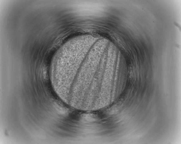 X0000098160408200805081108