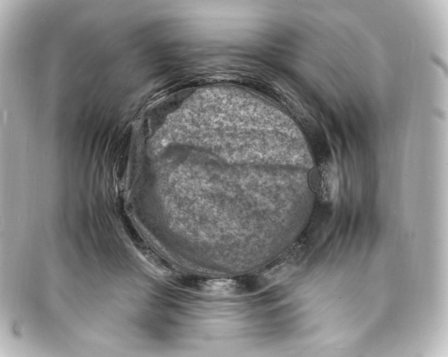 X0000098160410200805081108