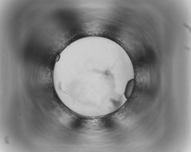 X0000098160411200805081108
