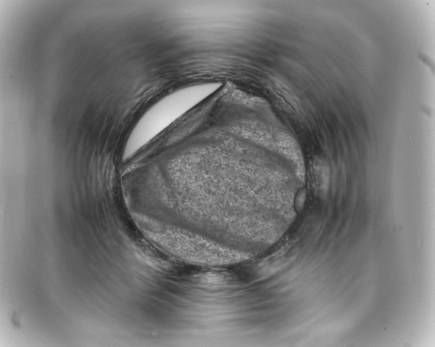 X0000098160412200805081108