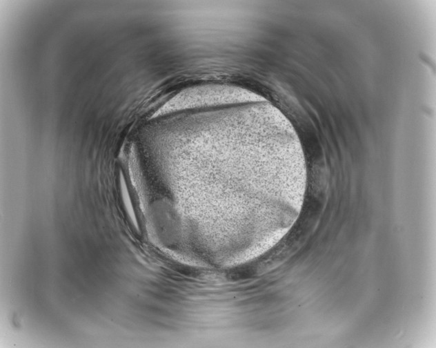 X0000098160413200805081108