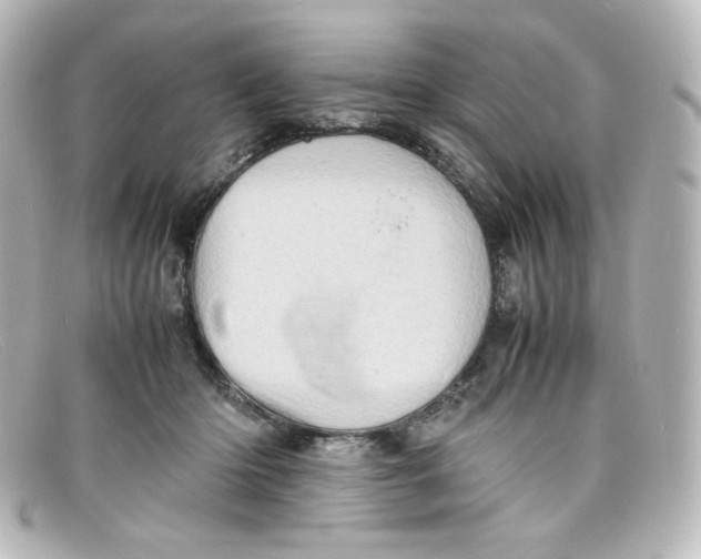 X0000098160414200805081108
