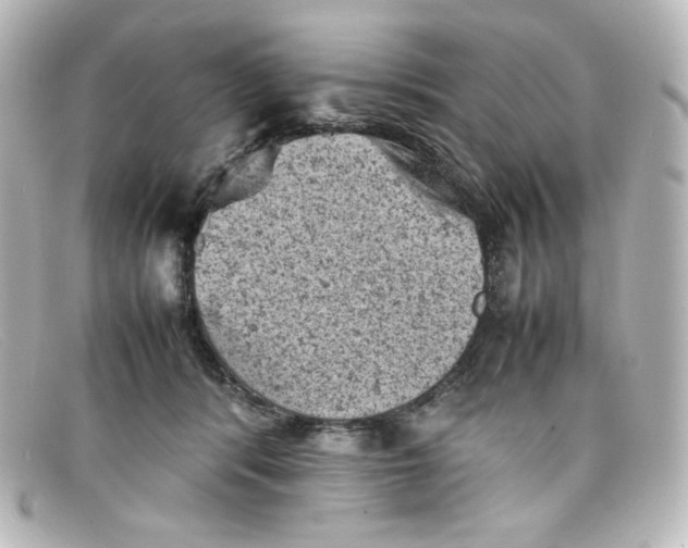 X0000098160416200805081108