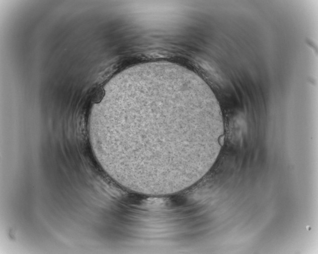 X0000098160418200805081108