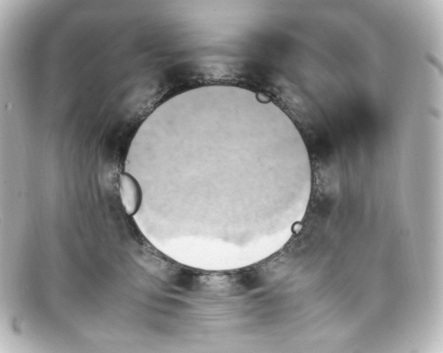 X0000098160419200805081108