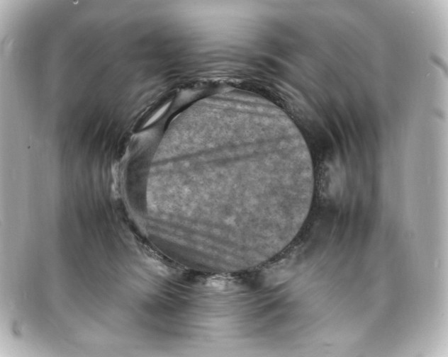 X0000098160420200805081108
