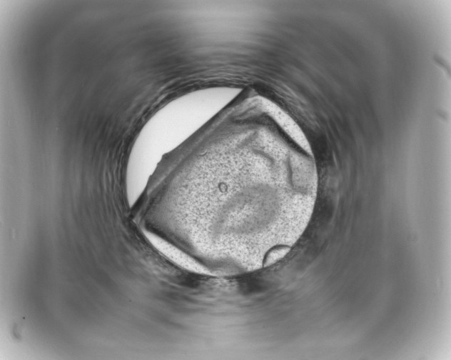 X0000098160421200805081108