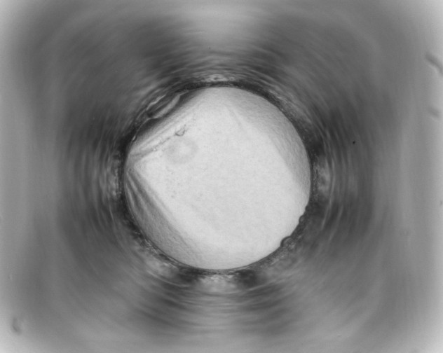 X0000098160422200805081108