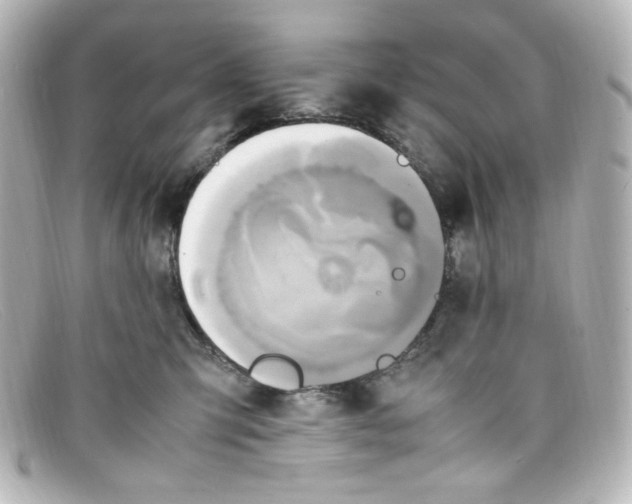 X0000098160423200805081108