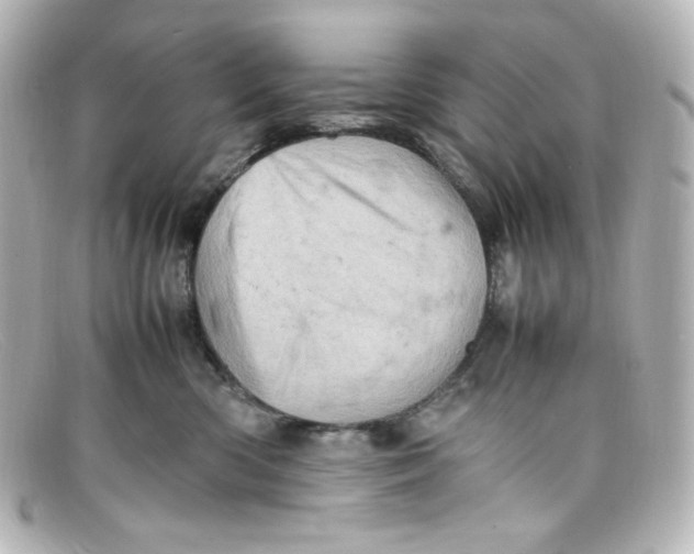 X0000098160426200805081108
