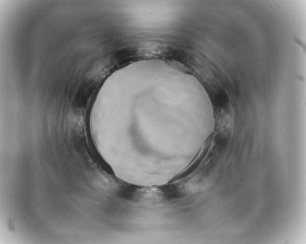 X0000098160427200805081108