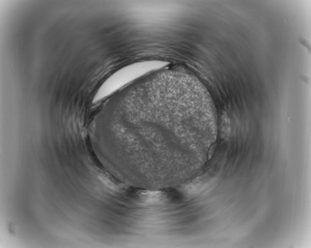X0000098160428200805081108
