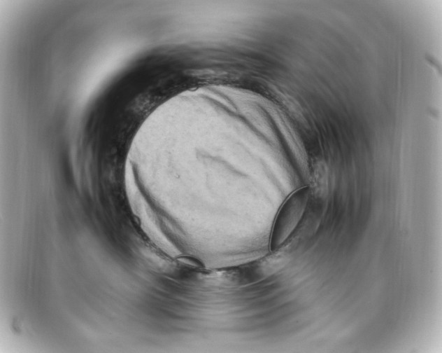 X0000098160430200805081108