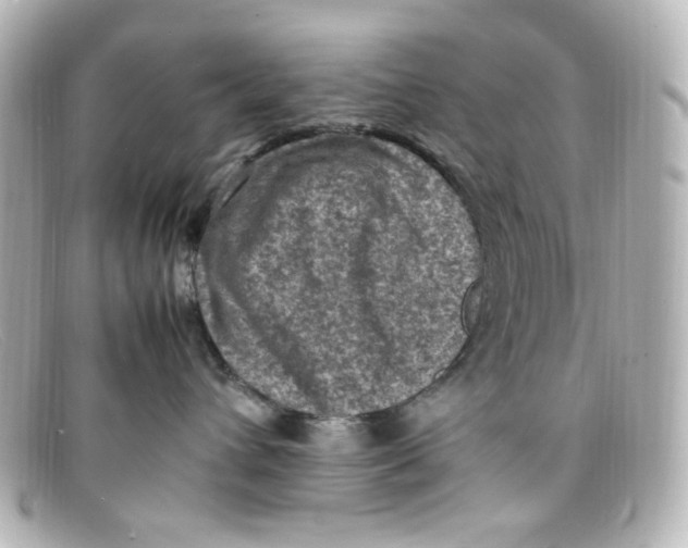 X0000098160432200805081108