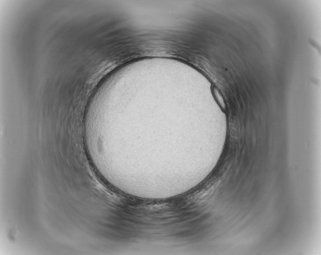 X0000098160433200805081107